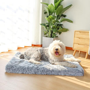 Orthopaedic Healthy Dog Mattress