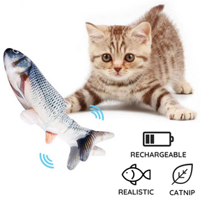 Floppy Fish Cat Toy