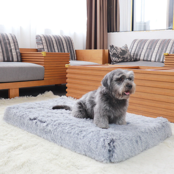 Orthopaedic Healthy Dog Mattress