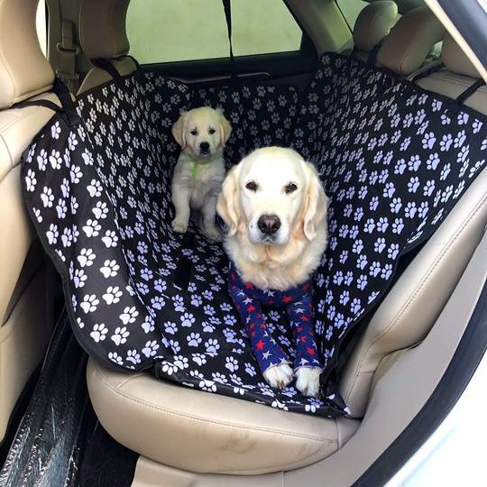 Protective Dog Car Cover