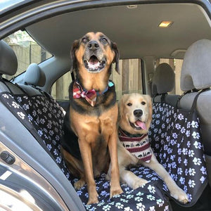 Protective Dog Car Cover