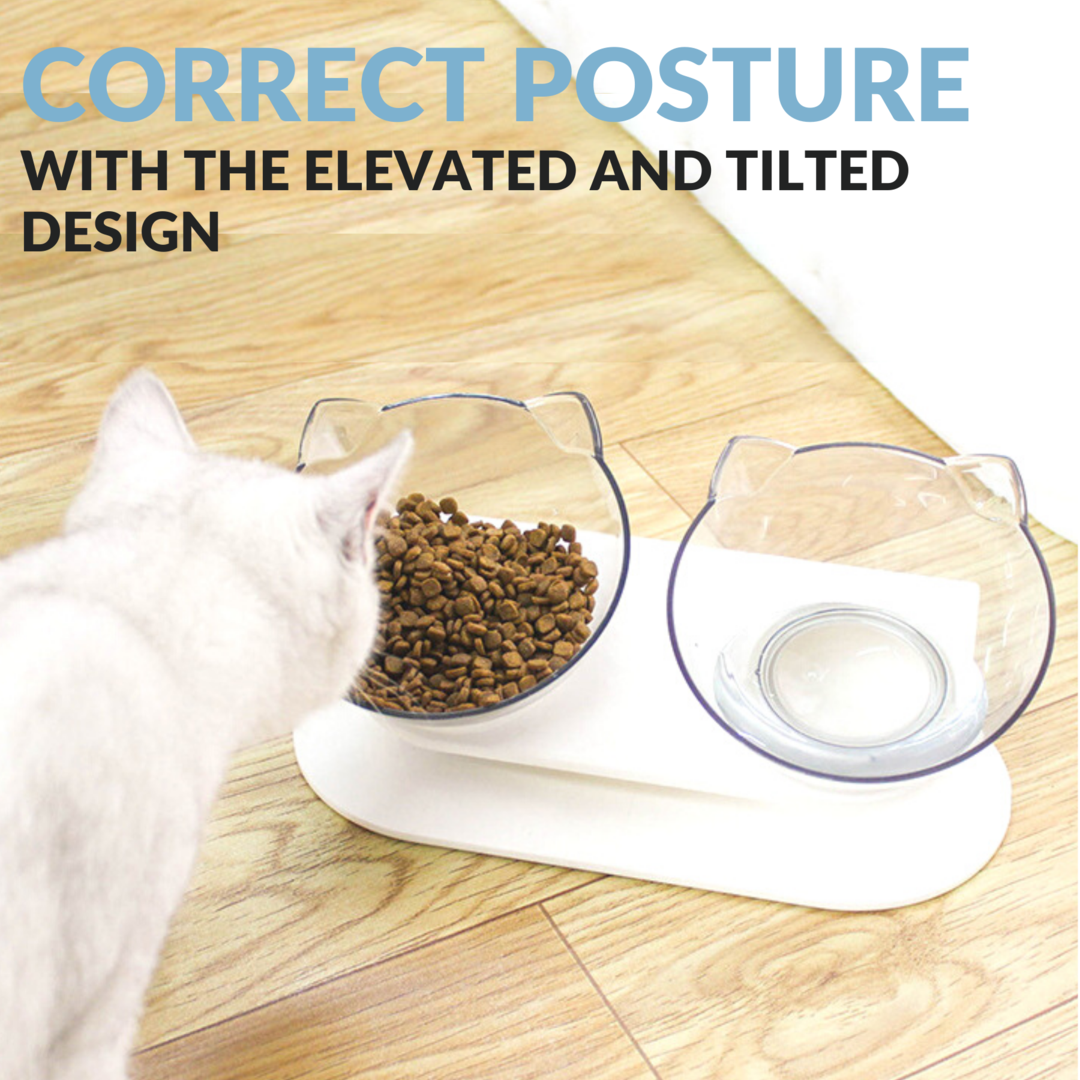 Orthopaedic Anti-Vomit Cat Bowl