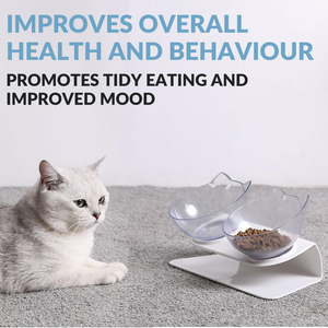 Orthopaedic Anti-Vomit Cat Bowl