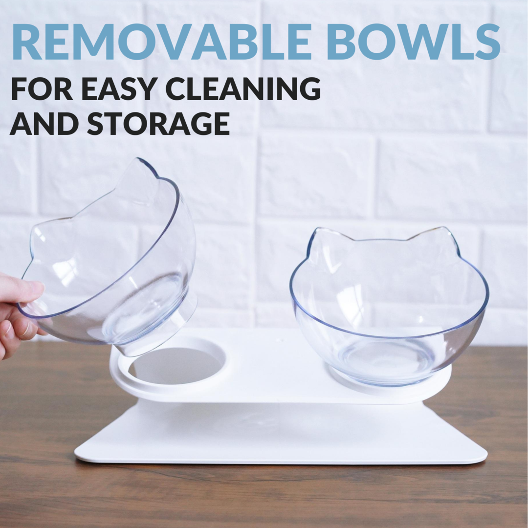 Orthopaedic Anti-Vomit Cat Bowl