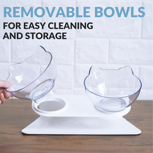 Orthopaedic Anti-Vomit Cat Bowl