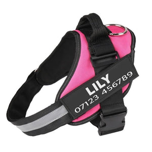 Personalised No Pull Dog Harness