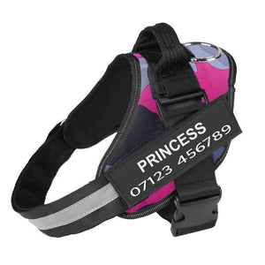 Personalised No Pull Dog Harness