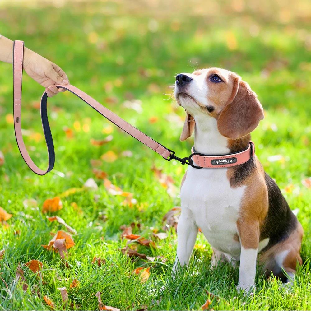 Personalised Pet Collar - Waggy Tails